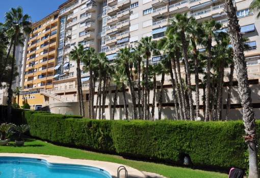 Apartment - Rental - Orihuela Coast - Campoamor