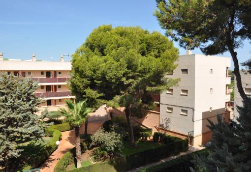 Appartement - Long time Rental - Torre de la Horadada - Mil Palmeras