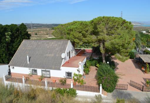 Finca - Rental - Orihuela - Torremendo